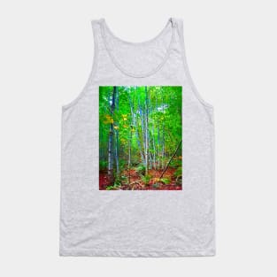 A Stand Of Birch Trees Tank Top